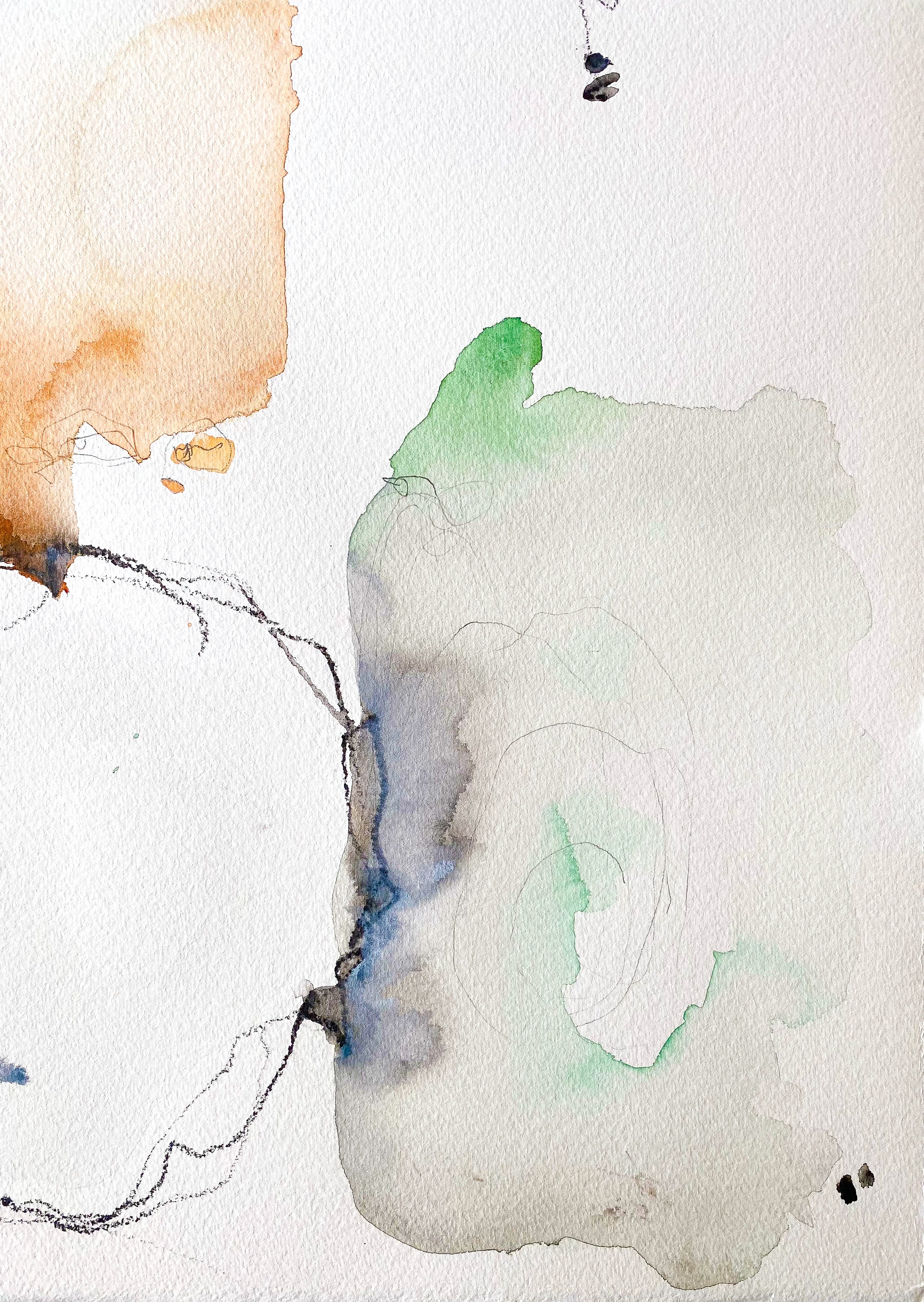Color + Line Study No. 5